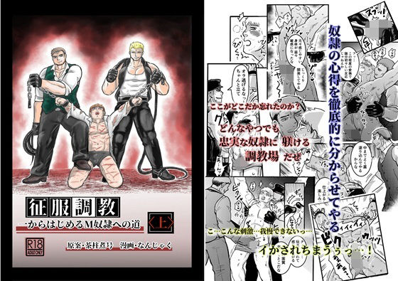 【ダウンロード】 征服調教  上 【FANZA】 